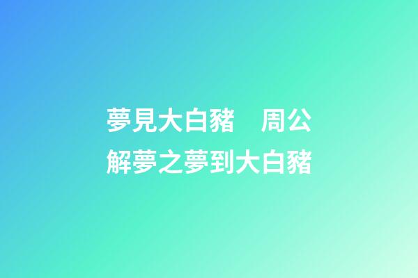 夢見大白豬　周公解夢之夢到大白豬